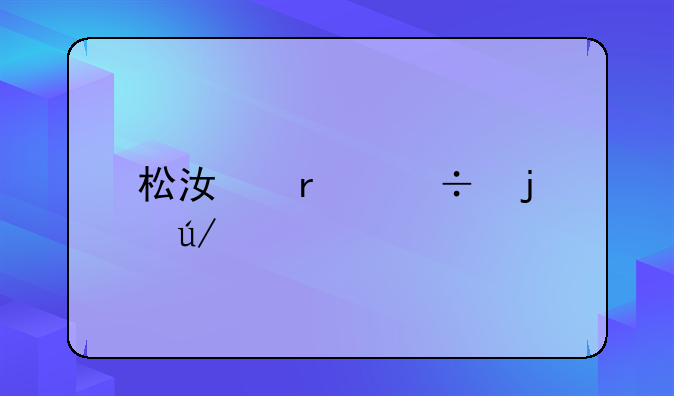 松江最好的律师