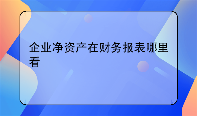 企业净资产在财务报表哪里看