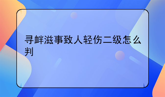 寻衅滋事致人轻伤二级怎么判