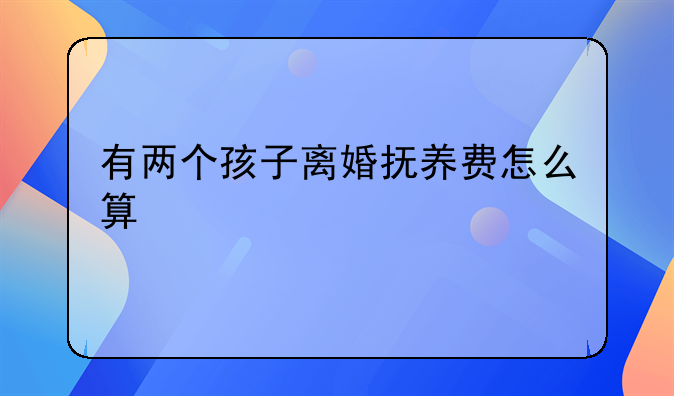 有两个孩子离婚抚养费怎么算