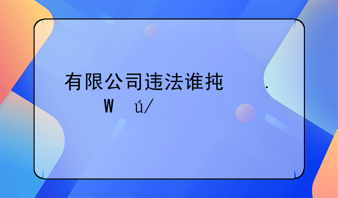 有限公司违法谁承担法律责任