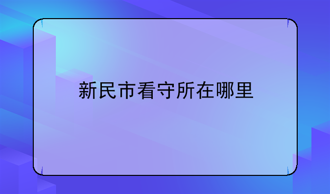 新民市看守所在哪里
