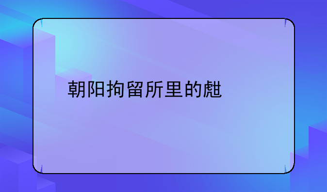 朝阳拘留所里的生活