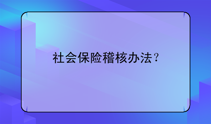 社会保险稽核办法？