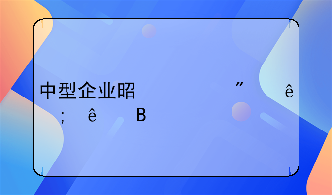 中型企业是一般纳税人吗