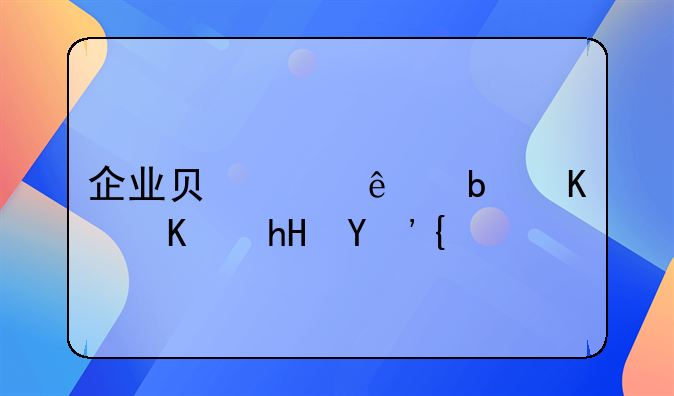 企业负责人是什么意思？