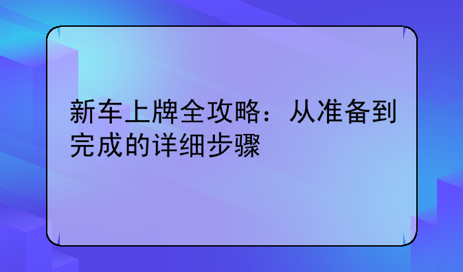 新车上牌全攻略：从准备到完成的详细步骤