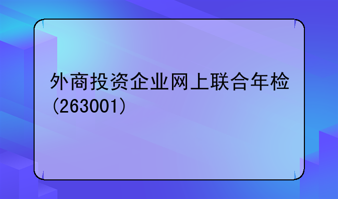 外商投资企业网上联合年检(263001)
