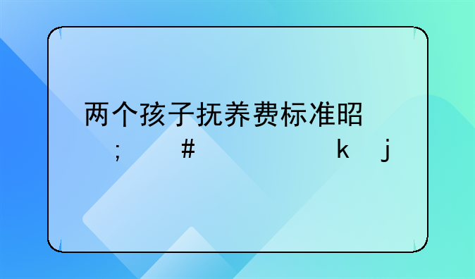 两个孩子抚养费标准是怎么规定的