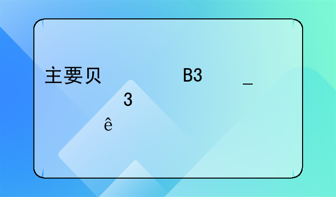 主要负责同志履行第一责任人情况