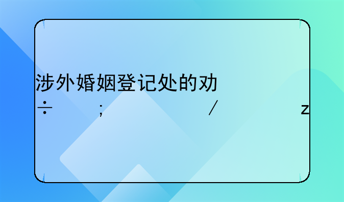 涉外婚姻登记处的功能与流程解析
