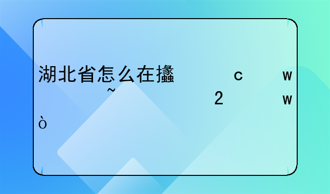 湖北省怎么在支付宝上查询医保？