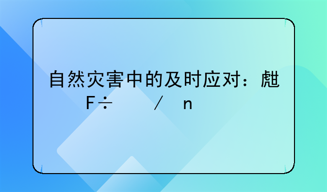 自然灾害中的及时应对：生命之盾