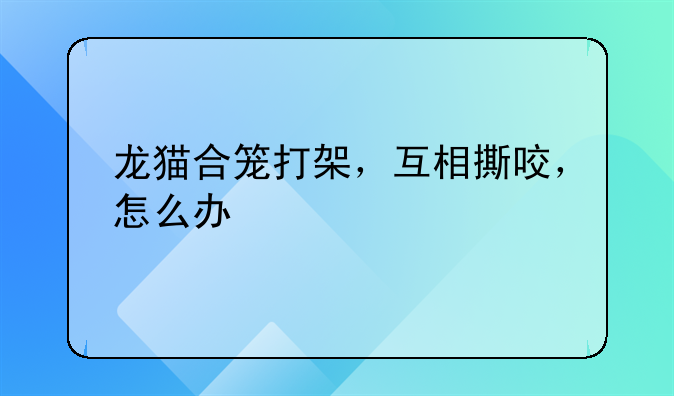 龙猫合笼打架，互相撕咬，怎么办