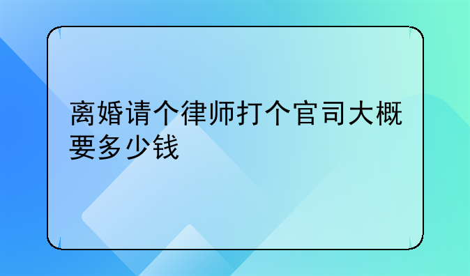 离婚请个律师打个官司大概要多少钱