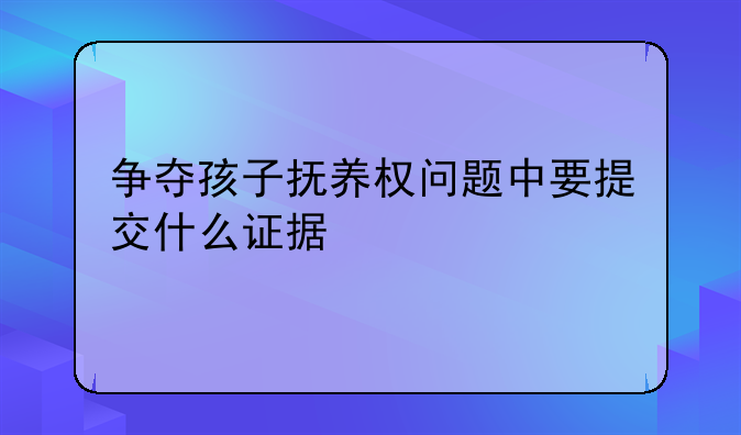 争夺孩子抚养权问题中要提交什么证据