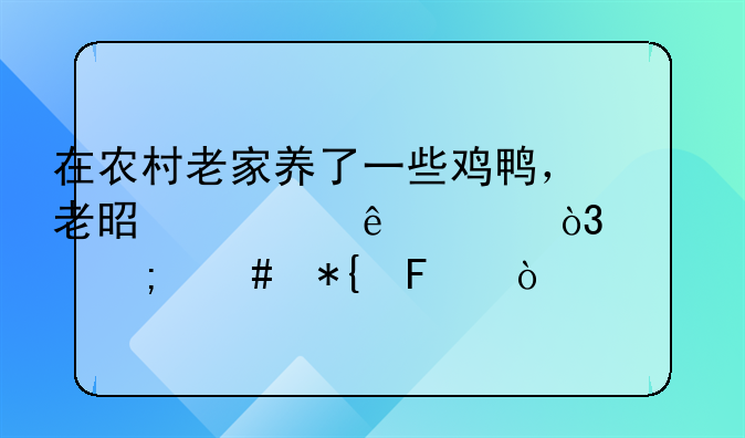 在农村老家养了一些鸡鸭，老是被人偷，该怎么办呢？