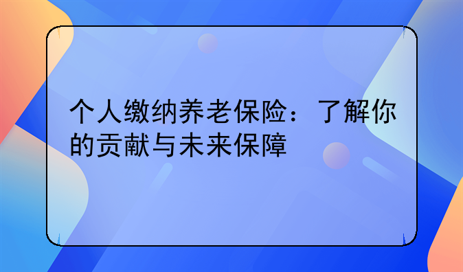个人缴纳养老保险：了解你的贡献与未来保障