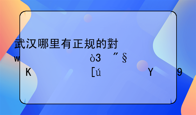 武汉哪里有正规的小额贷款，利息低，快速简单