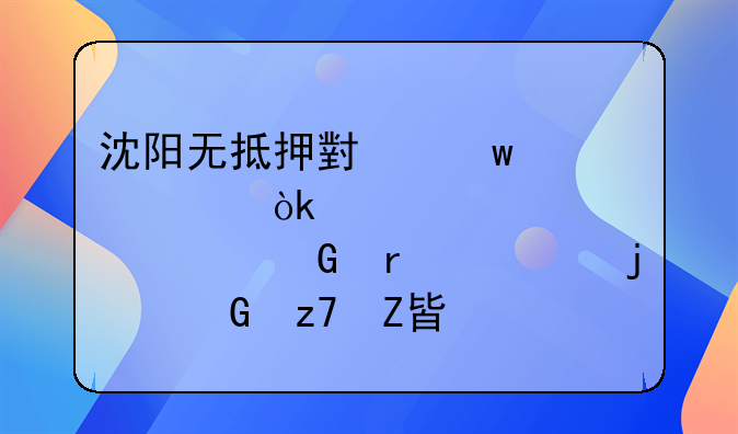 沈阳无抵押小额贷款：灵活解决资金需求的金融方案