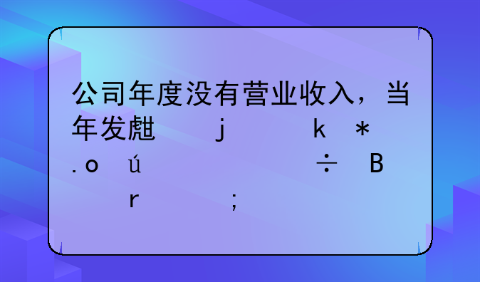 公司年度没有营业收入，当年发生的业务招待费能否在税前扣除？