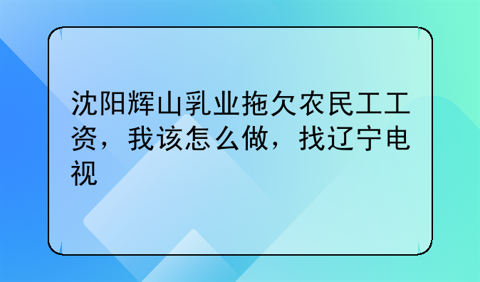沈阳辉山乳业拖欠农民工工资，我该怎么做，找辽宁电视