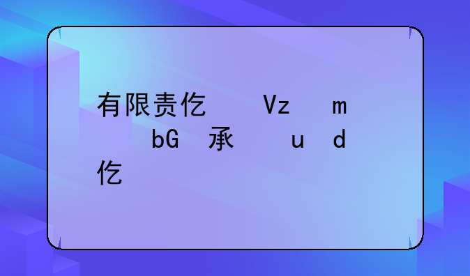 有限责任公司法人承担的责任