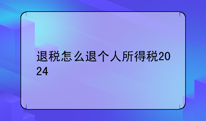退税怎么退个人所得税2024